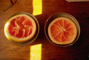 grapefruit